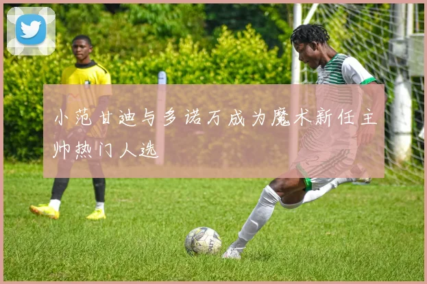 小范甘迪与多诺万成为魔术新任主帅热门人选