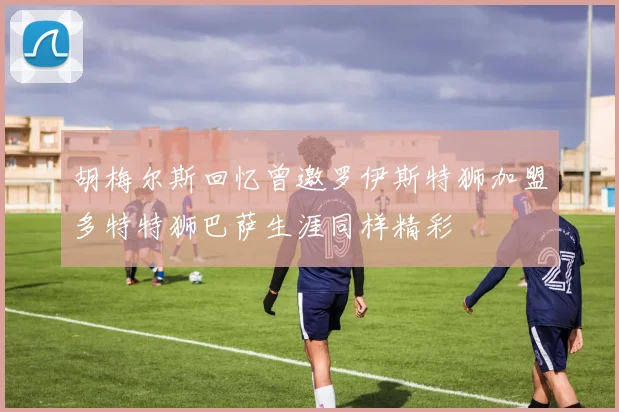 胡梅尔斯回忆曾邀罗伊斯特狮加盟多特特狮巴萨生涯同样精彩